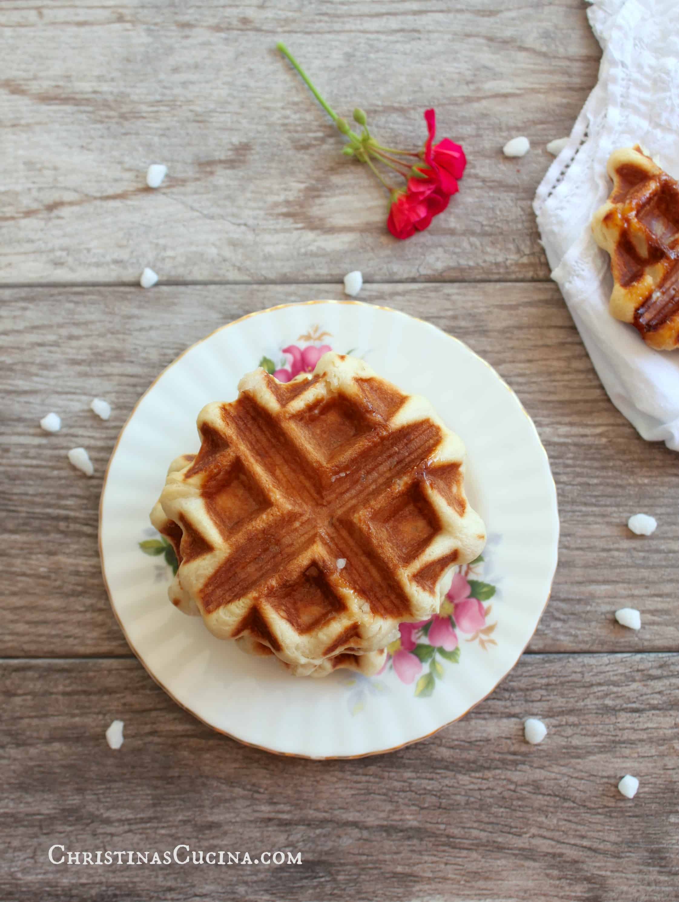 A Super Lekker, Authentic (Traditional) Belgian Waffle Recipe and a Day