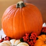 How to Prepare a Pumpkin (How to Cook, Bake or Roast a Pumpkin)