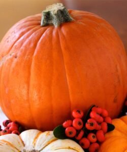 pretty pumpkin centerpiece for decoration