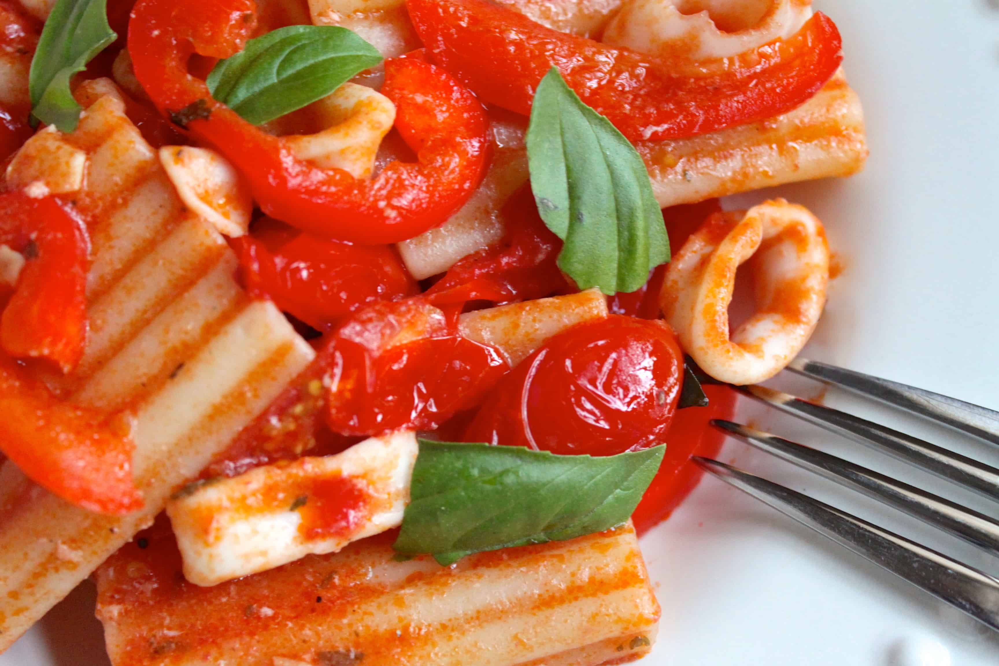 Pasta with Calamari and Red Sauce