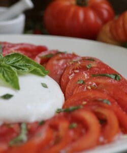 Burrata and tomatoes in Caprese salad