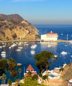 Catalina Island: view of Avalon Bay- Christina's Cucina