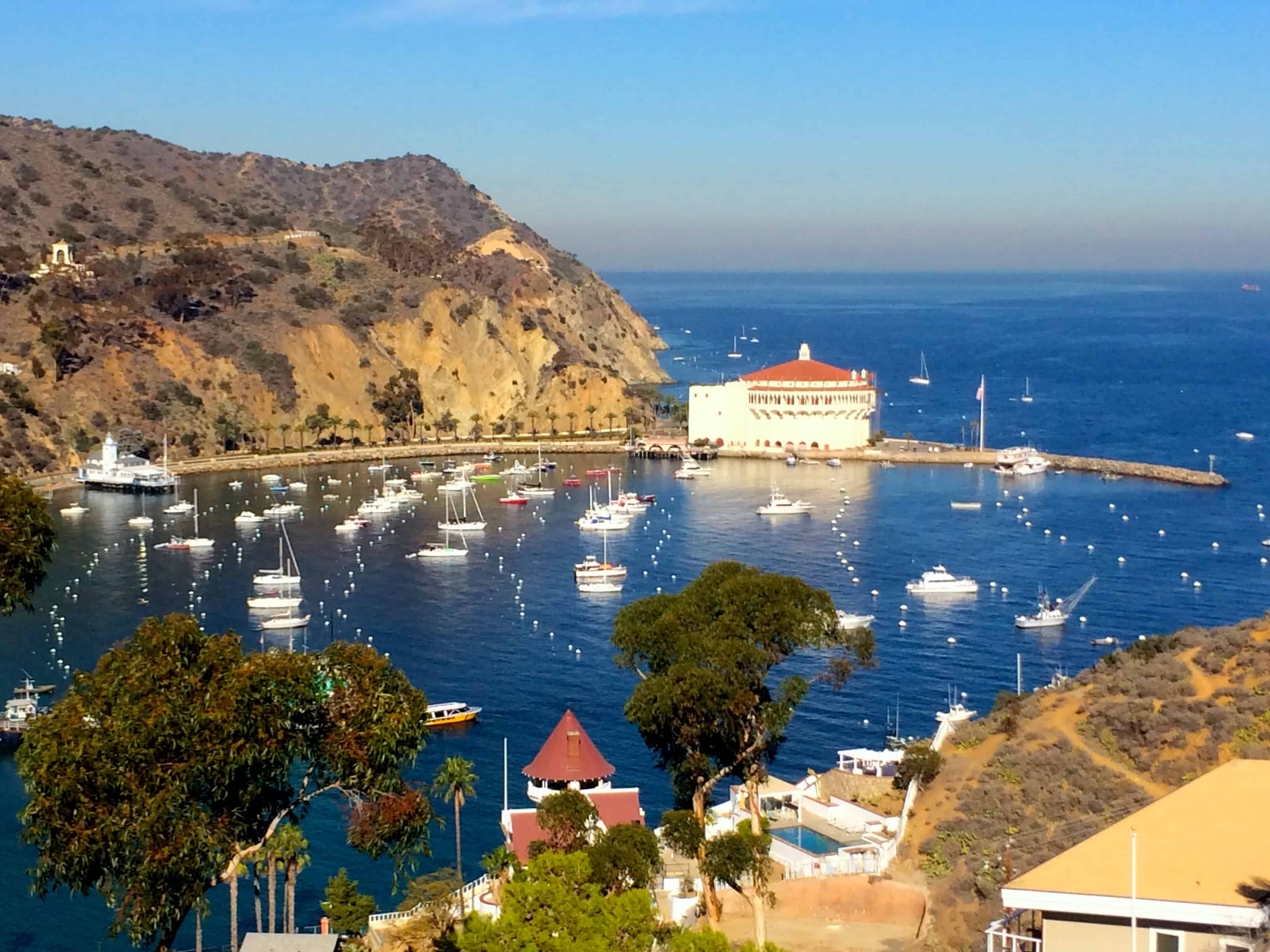 catalina trip