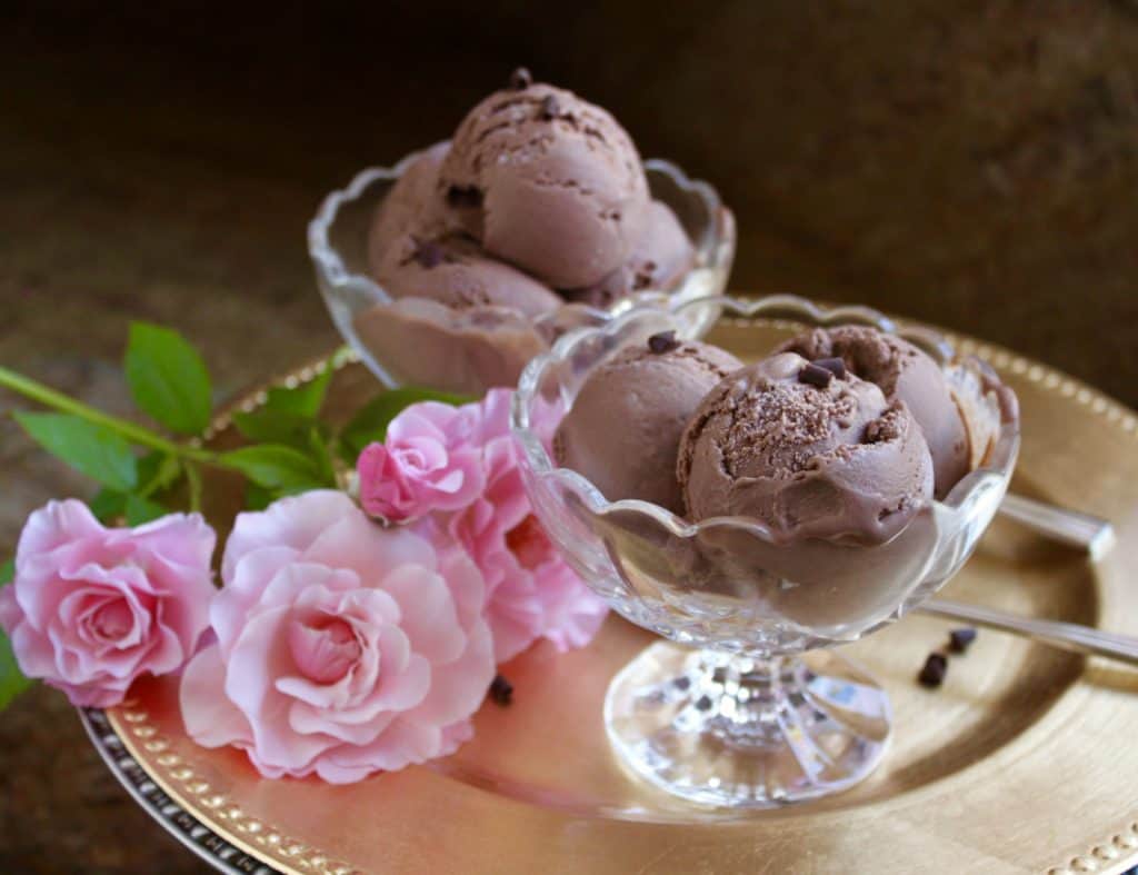 Best ever chocolate custard ice cream in bowls on a tray