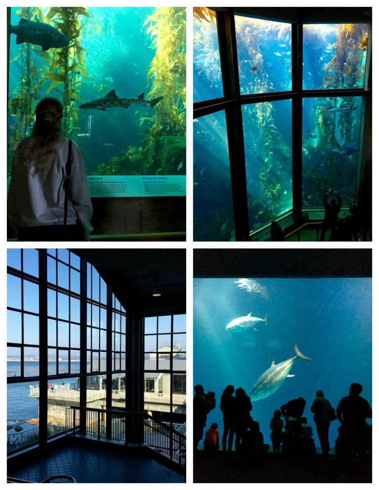 A Road Trip to Central California with a Stay at the Historic Monterey
