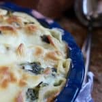 Rapini and Besciamella Orecchiette for National Pasta Day!