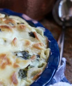 Orecchiette with Rapini and Besciamella Sauce