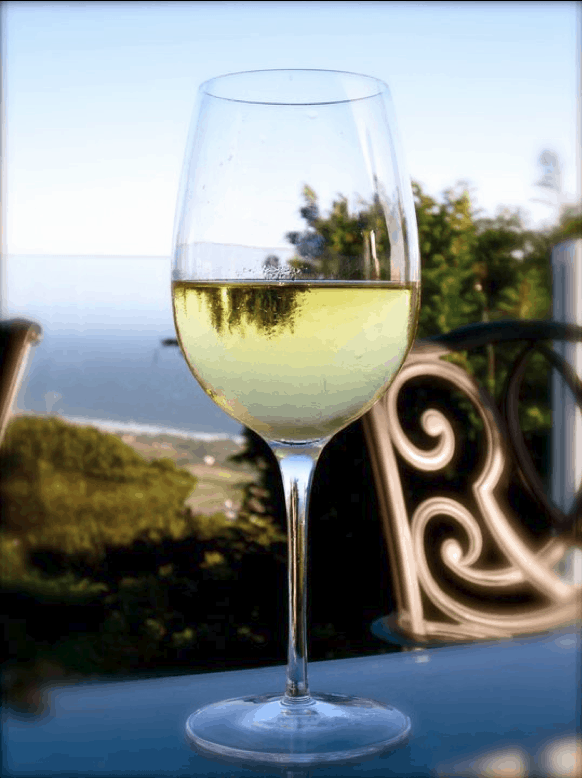 White wine with a view.