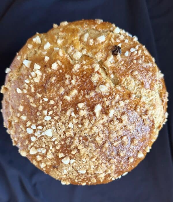 top of panettone
