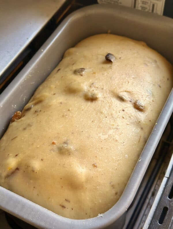 panettone dough in bread machine