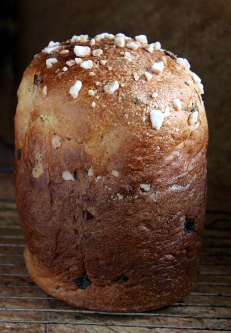 Perfect Italian Panettone Made in a Bread Machine and Baked in the Oven ...