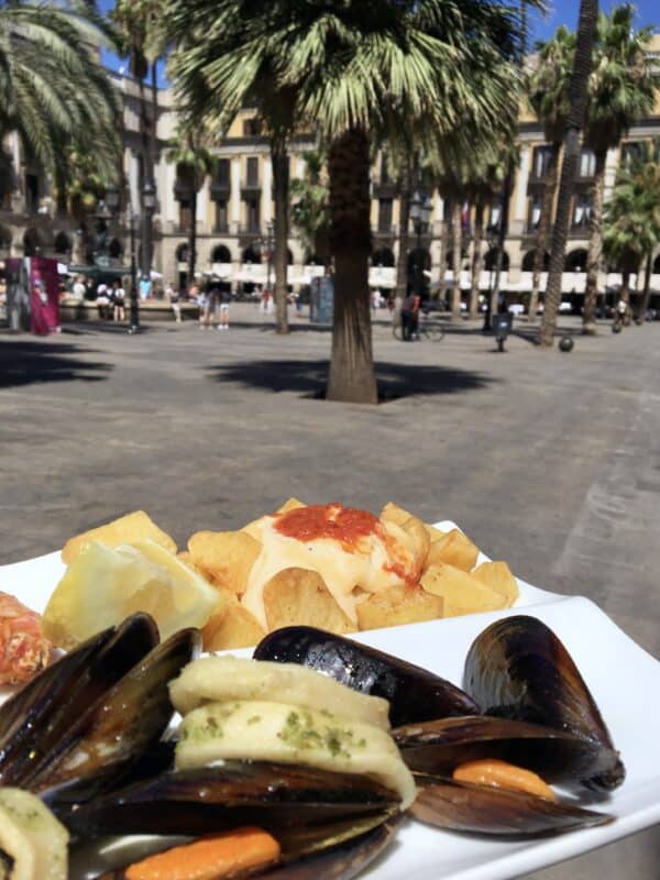 tapas with patatas bravas and seafood in Barcelona
