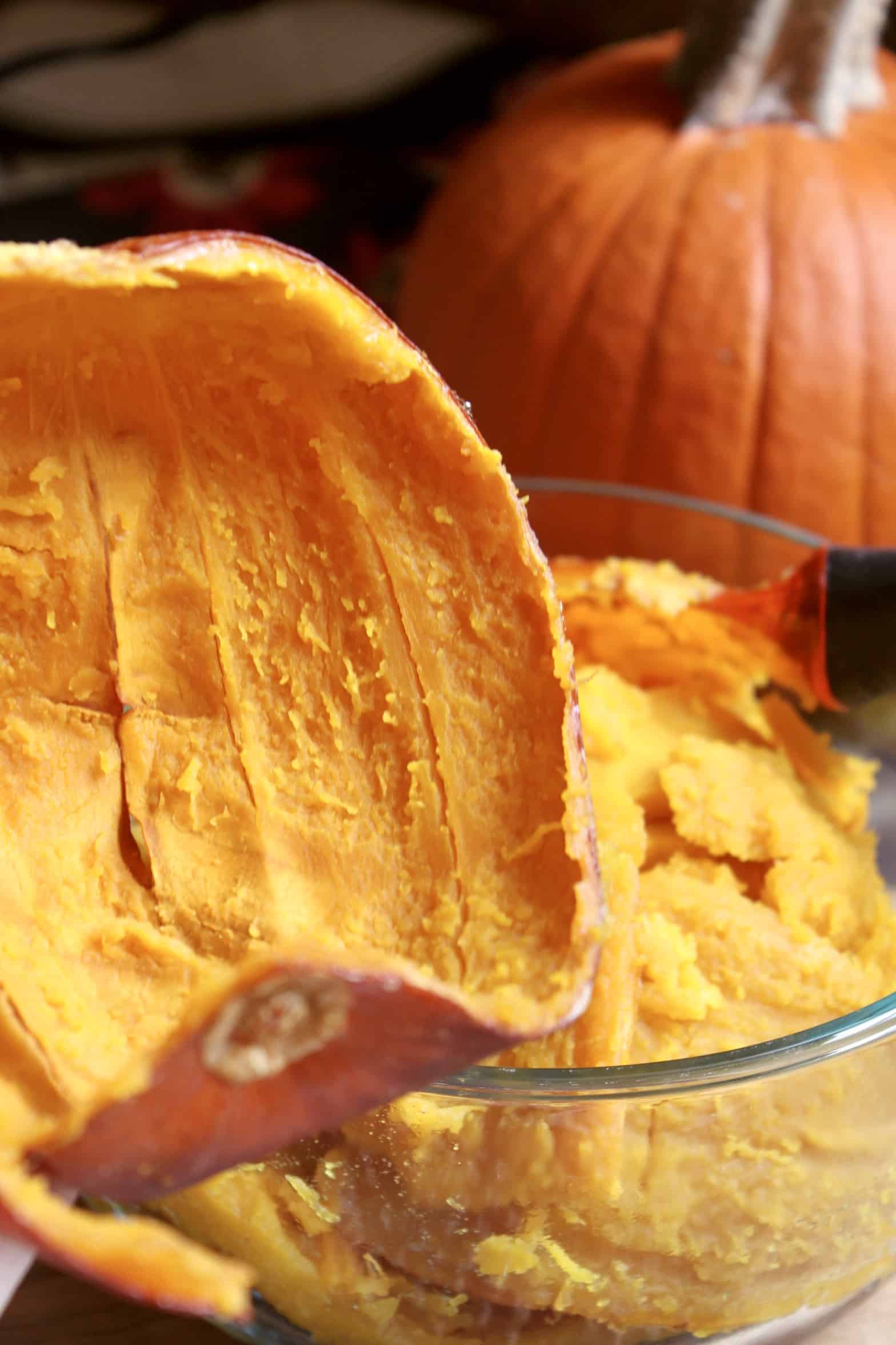 pumpkin shell with pumpkin in background