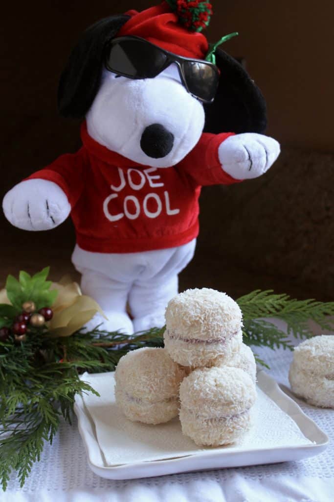 Snoopy and cookies