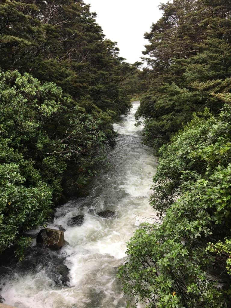 Whakapapanui stream and waterfall