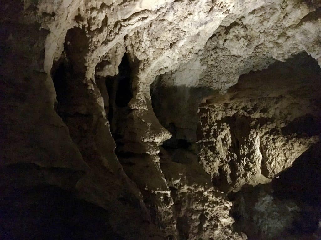 Waitomo glowworm caves