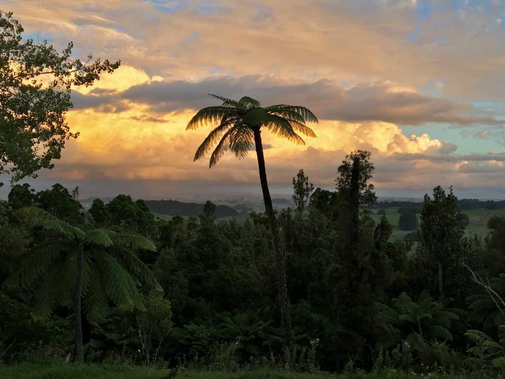 Waitomo dusk view