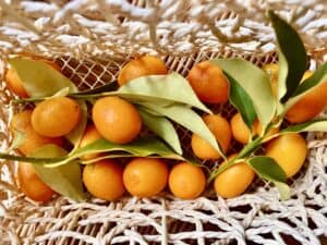 kumquats in a basket