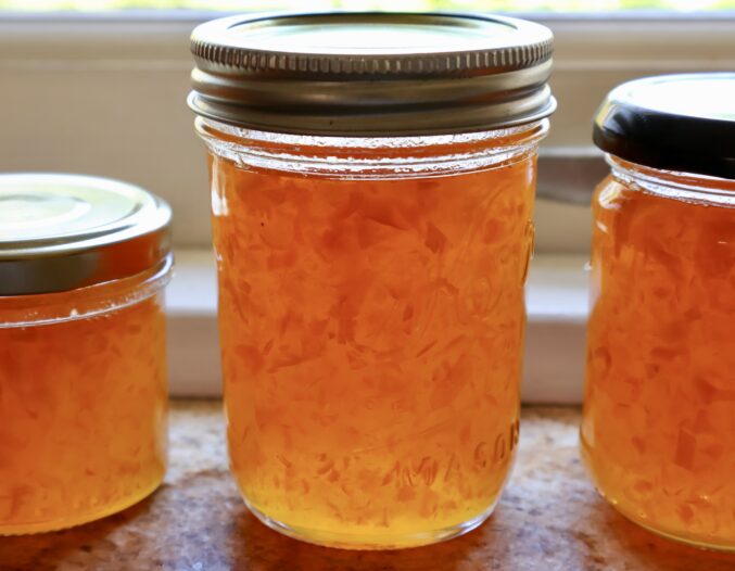 kumquat jam recipe in jars jars of backlit kumquat jam