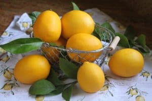 Basket of freshly picked Meyer lemons
