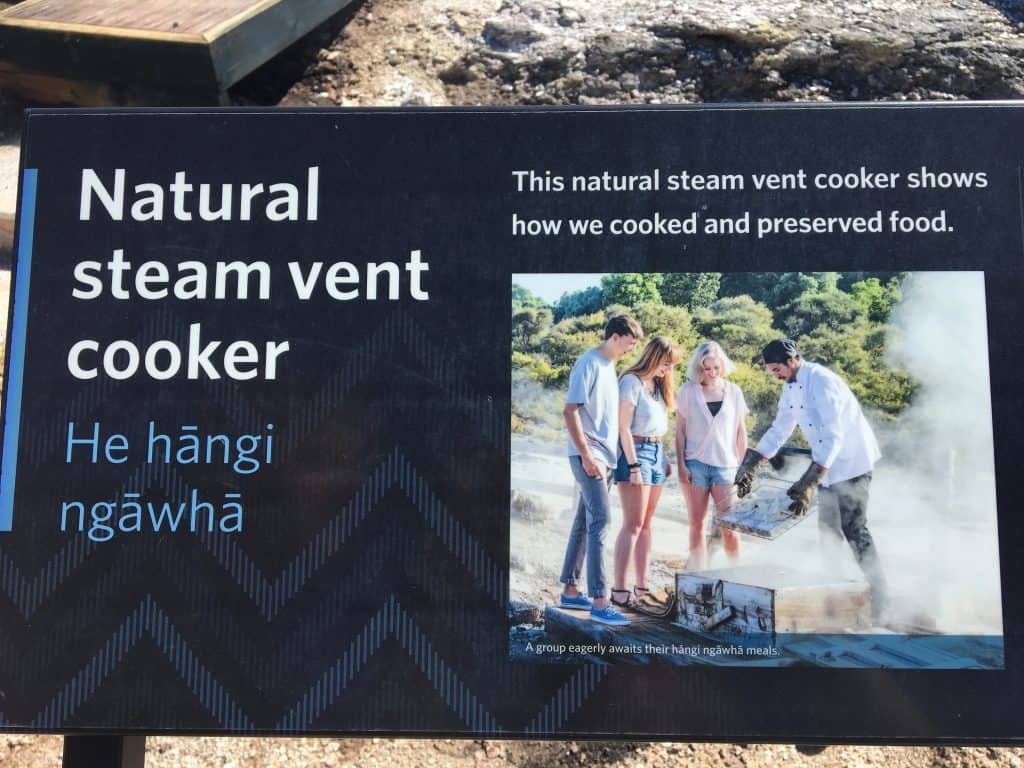Te Puia Steam vent cooking