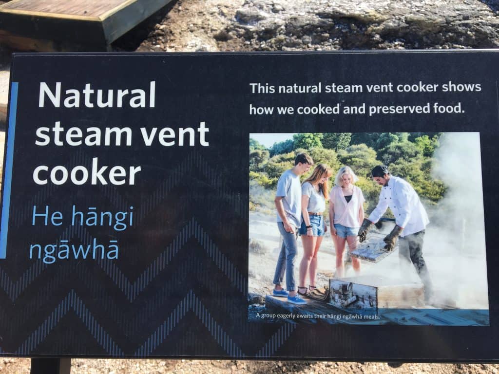 Te Puia Steam vent cooking