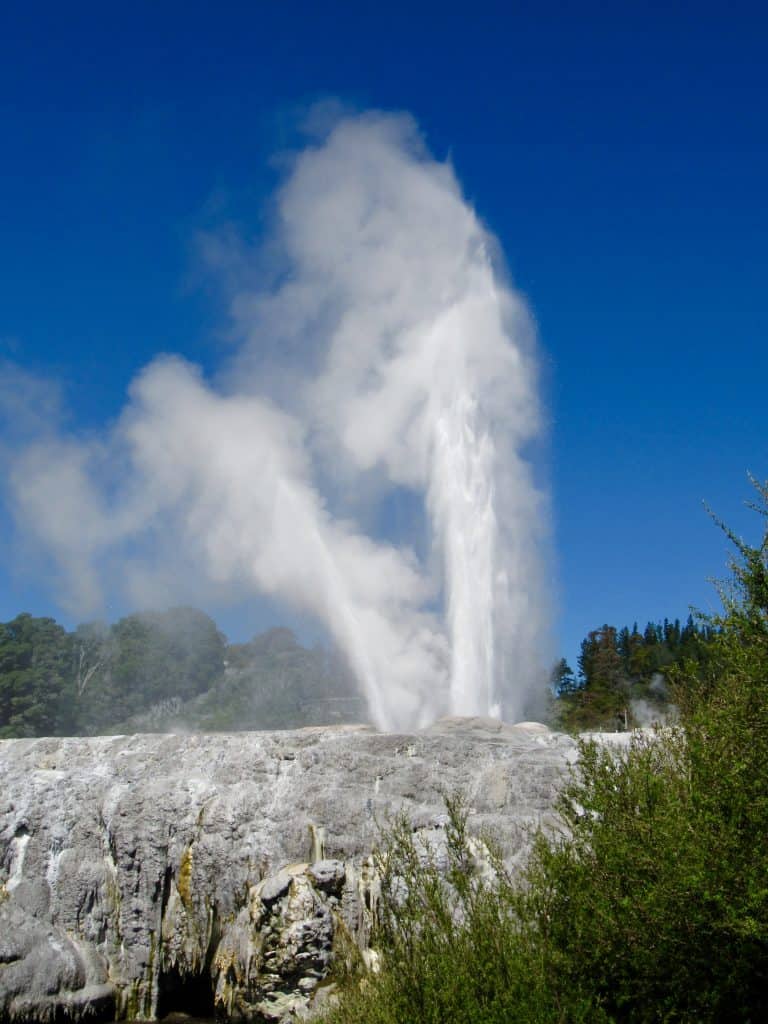 Geyser at Te Puia, Rotorua New Zealand