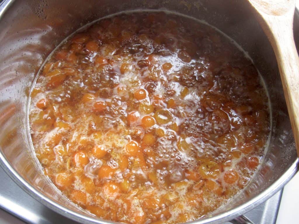 chopped kumquats in a pot