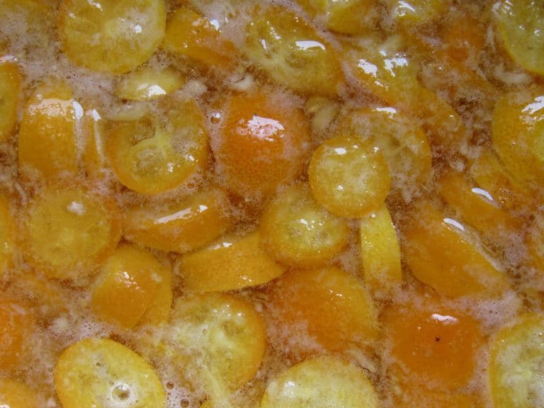 Easy Kumquat Jam Recipe (No Pectin Added and AwardWinning