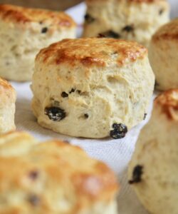 sultana or raisin scones