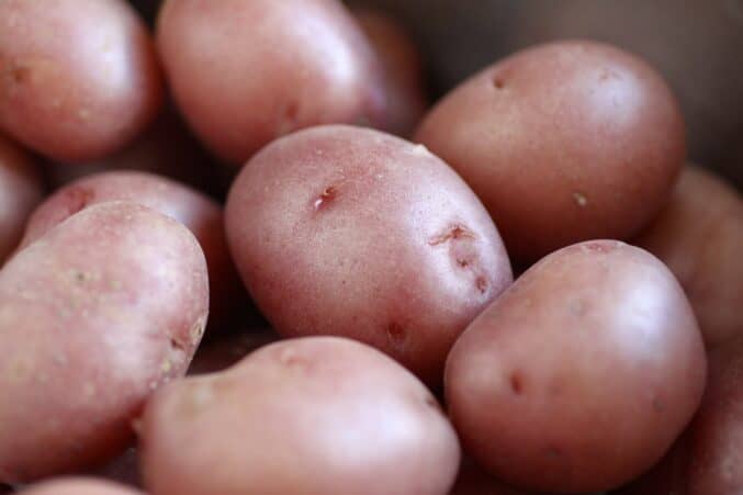 red mini potatoes