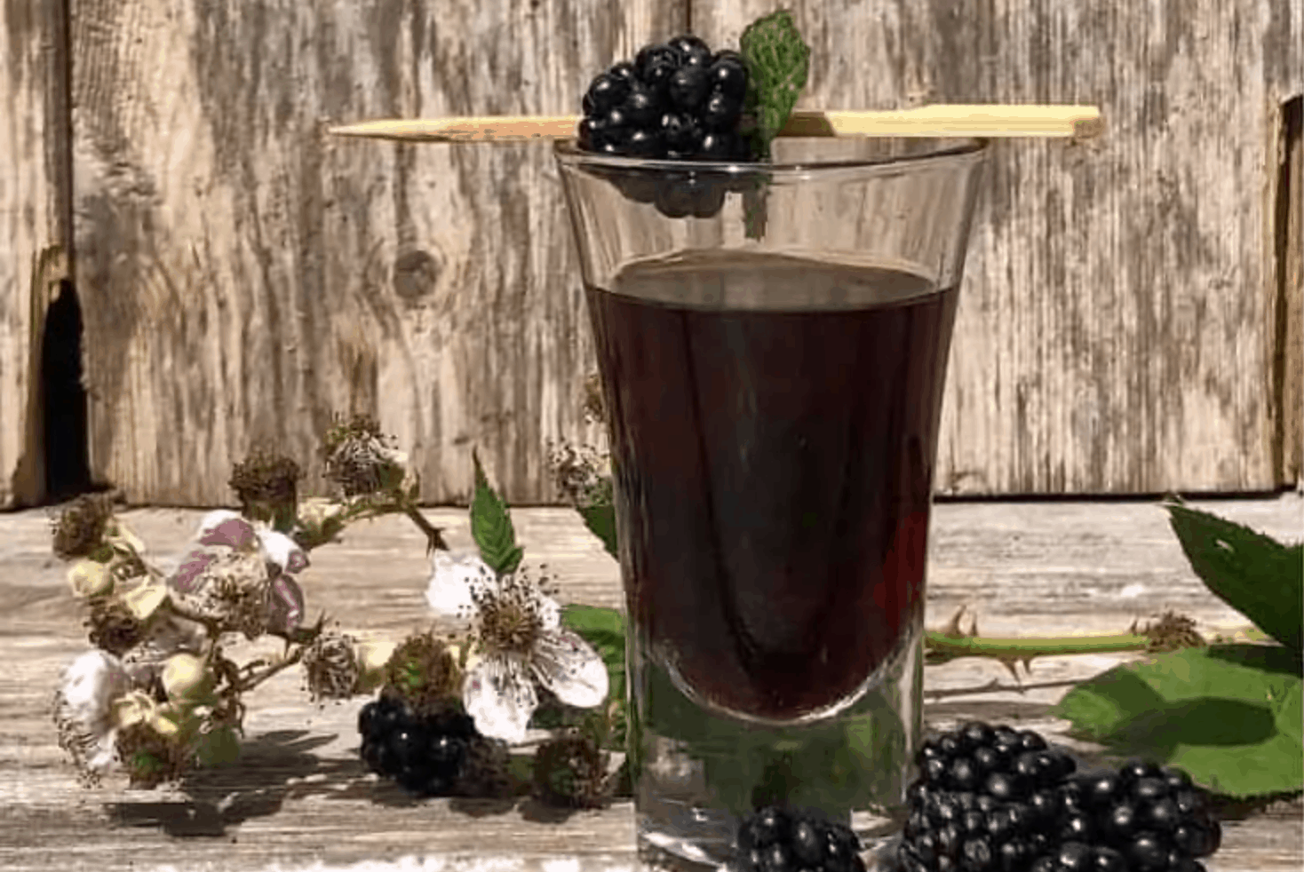 blackberry vodka by The Travelbunny