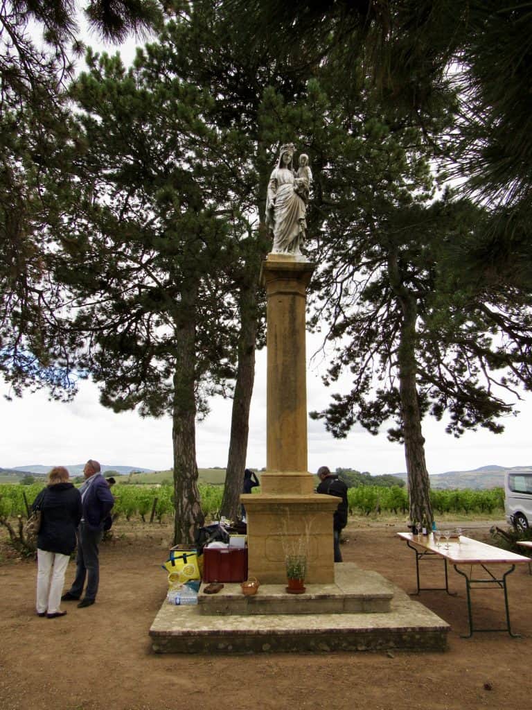 Picnic in the vineyard in Sarcey