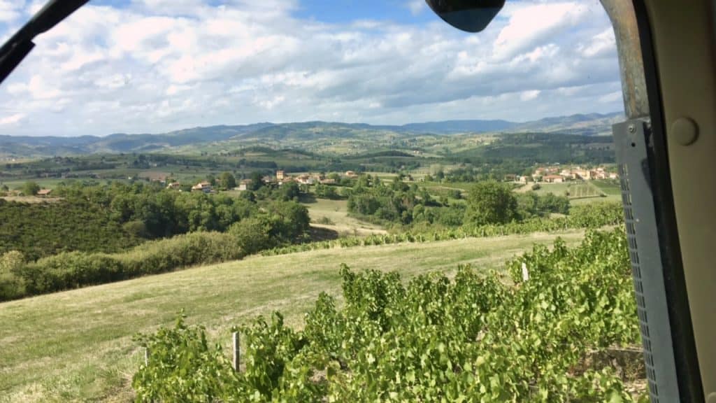 View from the tractor