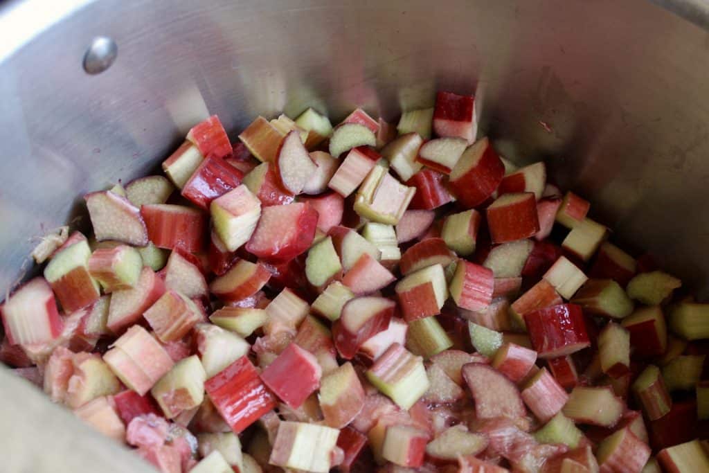 making Easy rhubarb jam