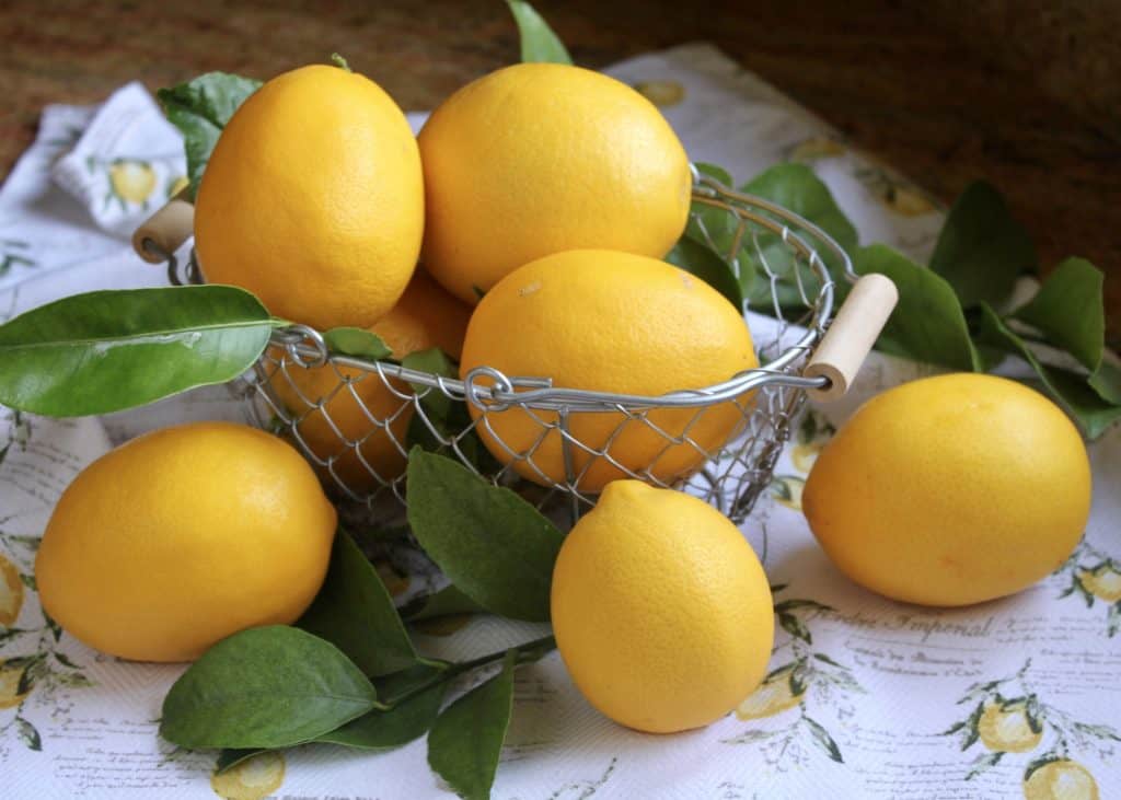 Meyer lemons in a basket for limoncello