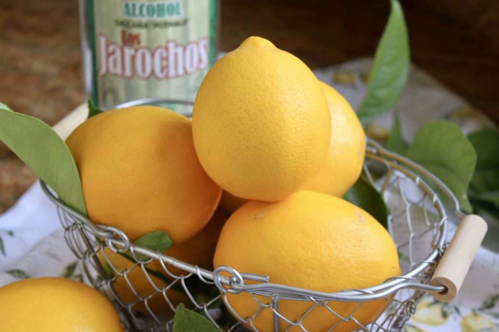 Meyer lemons in a basket for limoncello