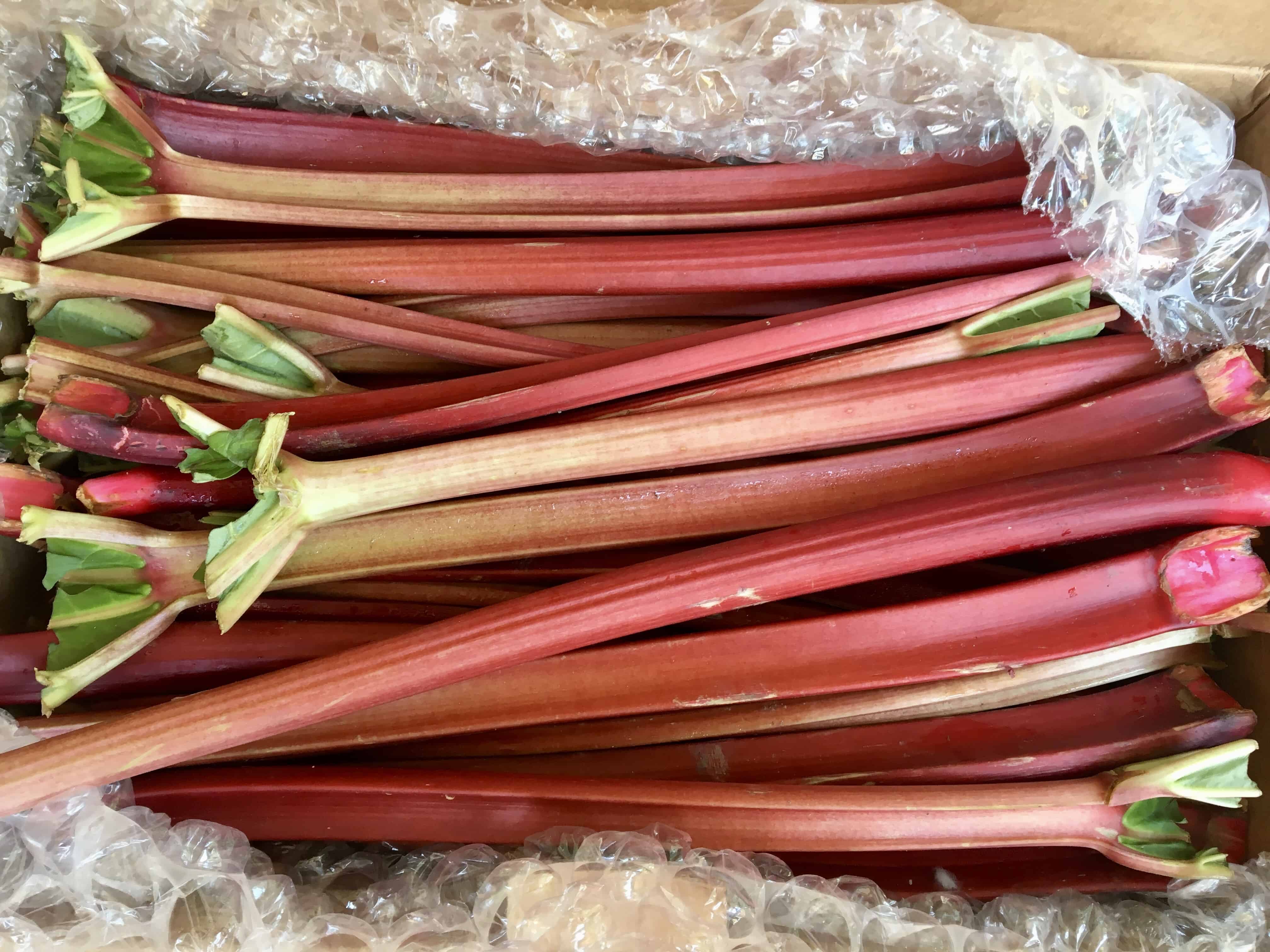 stalks of rhubarb