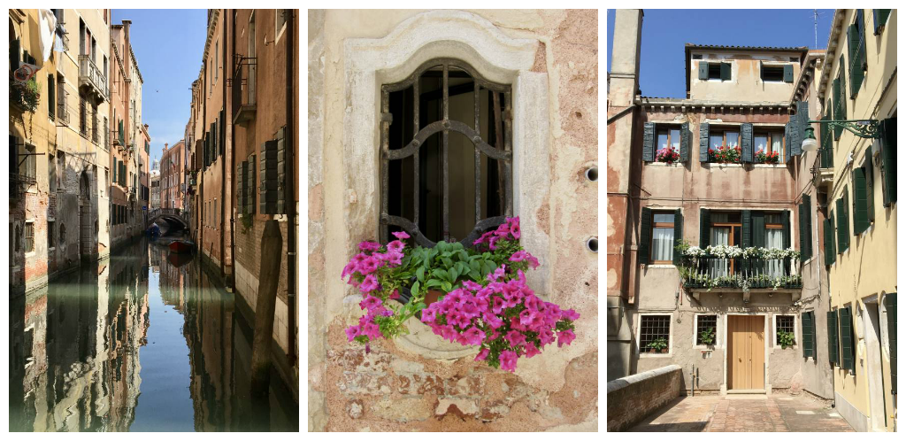 Collage of Venice with flowers