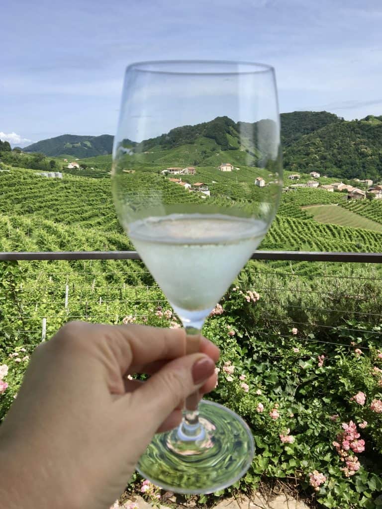 A Day trip to Valdobbiadene vineyards with Valdo Prosecco 