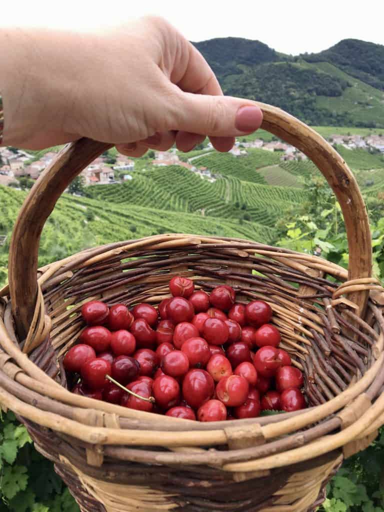 Cherries at Osteria Senz'Oste