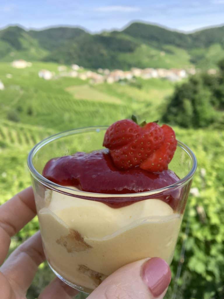A day trip to Valdobbiadene vineyards with dessert and a view