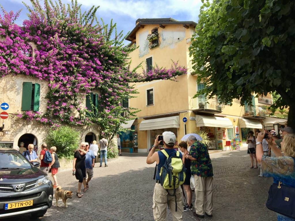 Bougainvillea in Sirmione