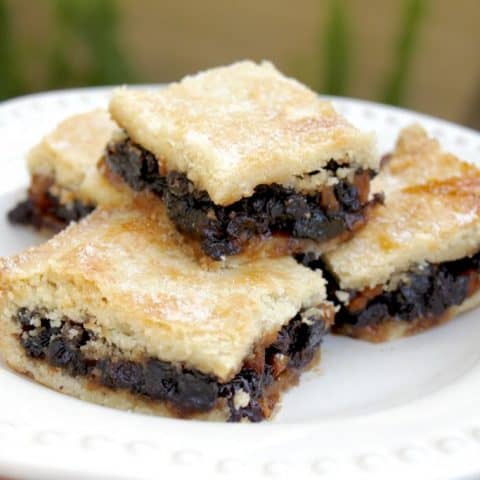 Scottish Fruit Slice, Fruit Squares, Fly Cemetery or Fly's Graveyard (Oh My!)