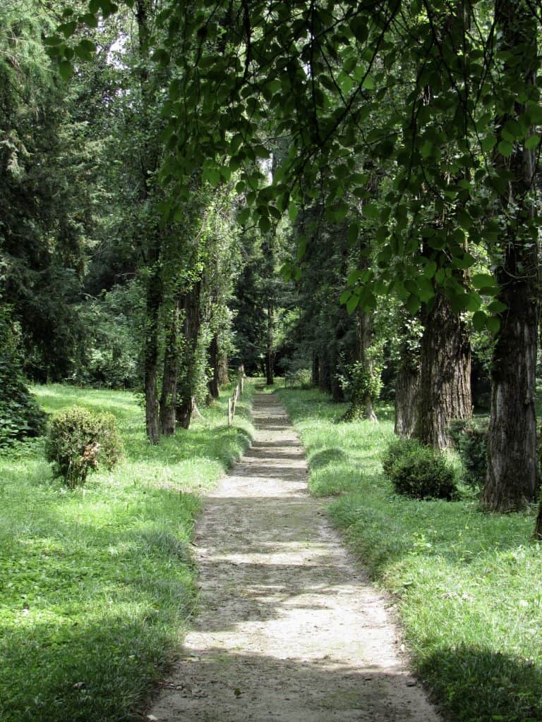 pathway on Verdi's estate