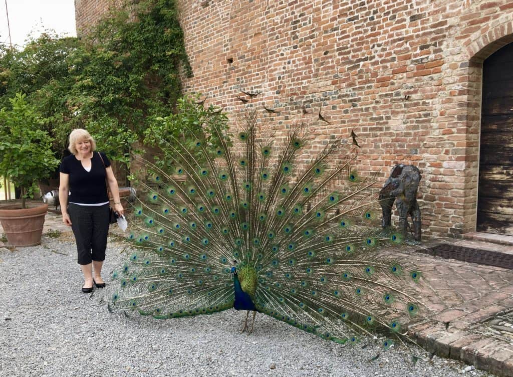 Peacock at Antica Corte Pallavicina