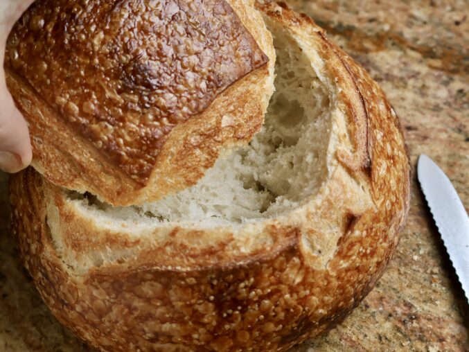 cutting the sourdough boule