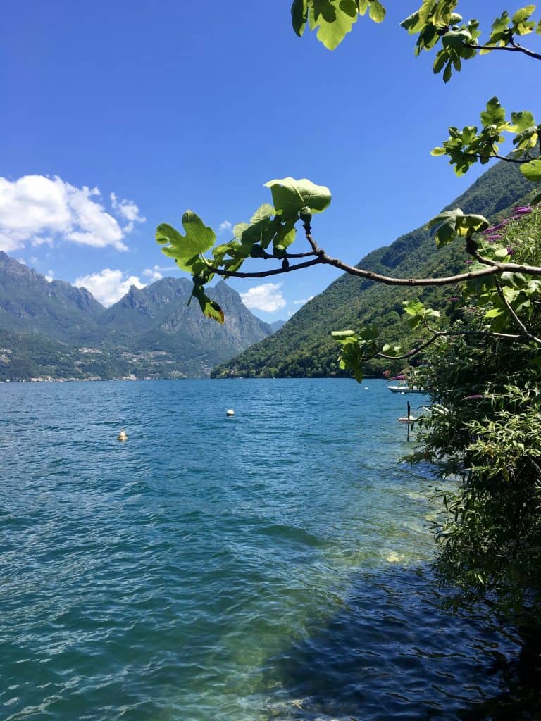 Lake Lugano view