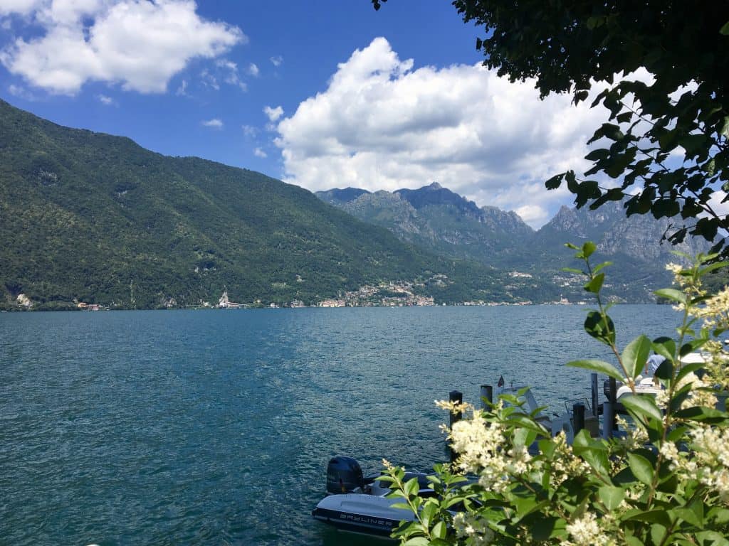 cruise and cook lugano