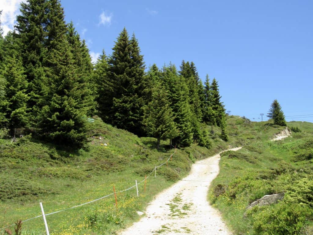 Pathway in Bettmeralp